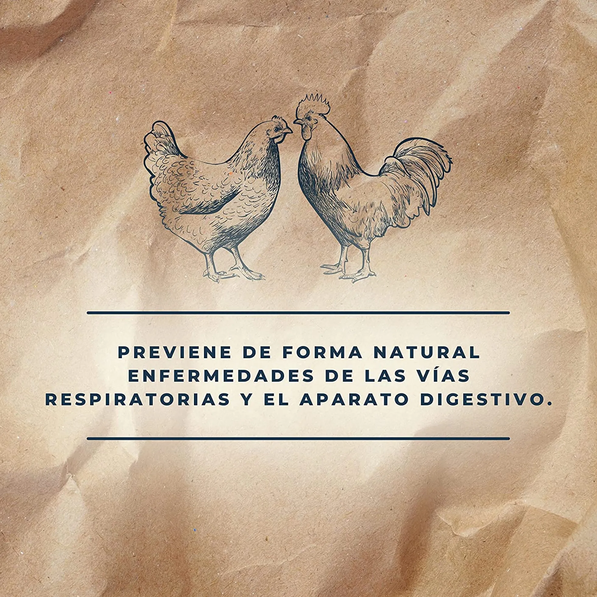 Suplemento Alimenticio Para Una Buena Salud Digestiva En Animales | Digestive Top 250 Ml Para Conejos Y Aves De Corral
