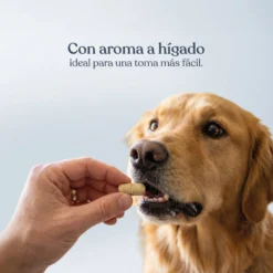 Suplemento Artromix para Perros Cuidado Articular 72 g dr.bimix