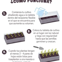 Tableta de cultivo Girasol