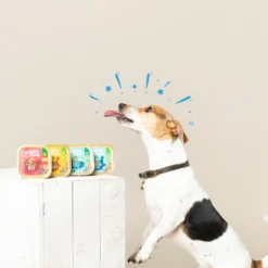 Tarrina de comida para perros con pescado orgánico sin cereales | Edgard & Cooper 100 g