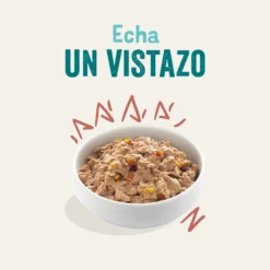 Tarrina de comida para perros de pollo y salmón | Edgard & Cooper 150 g