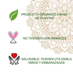 Tatuaje Henna Polvo Radhe 50 g