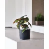 Teraplast Macetero De Plástico Reciclado Cuadrado Capri Negro 19cm
