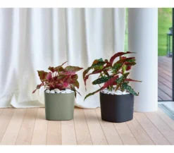 Teraplast Macetero De Plástico Reciclado Cuadrado Capri Negro 19cm