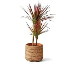 Teraplast Macetero De Plástico Reciclado Murgia 23cm