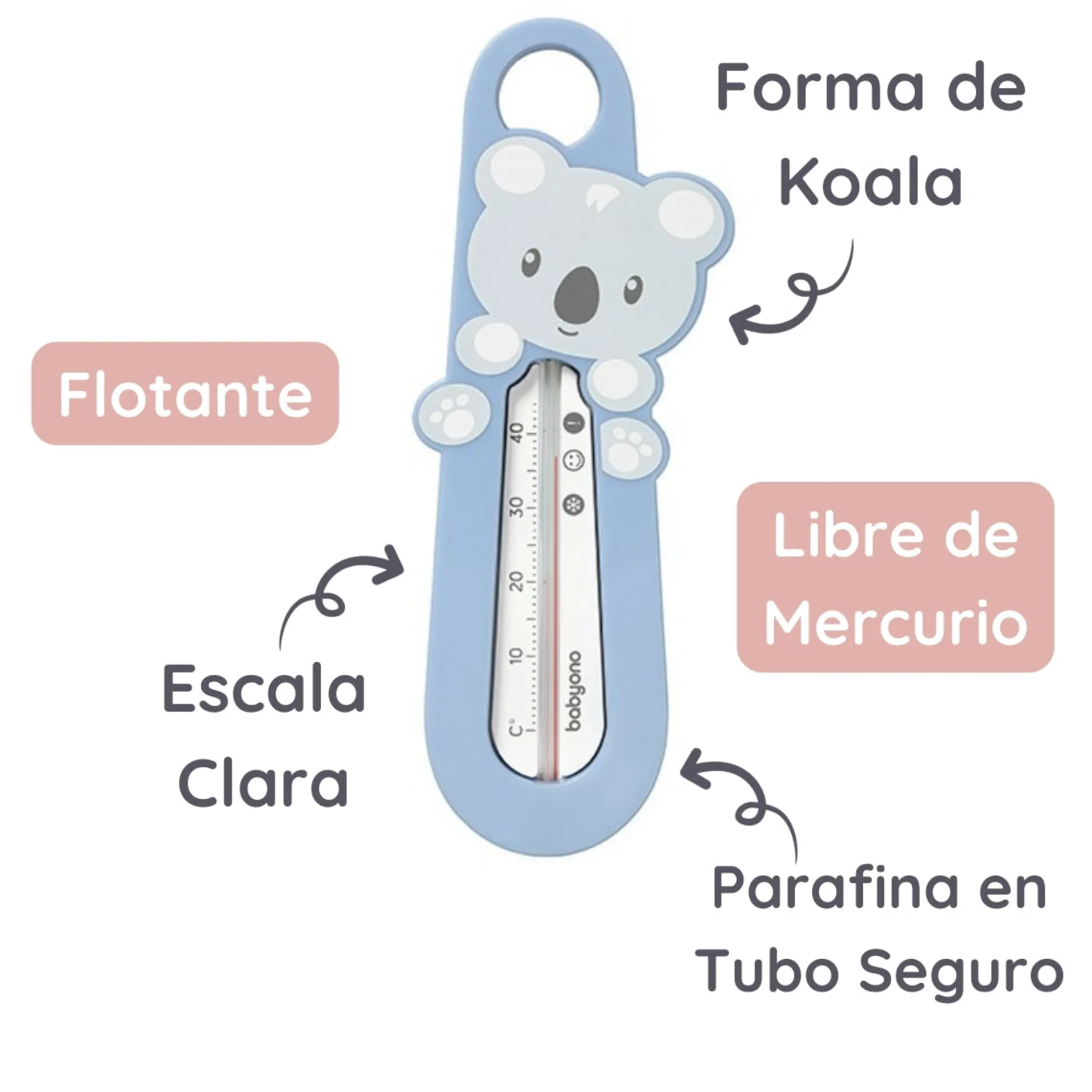 Termometro Del Agua Para Bebés Animalitos Raccon