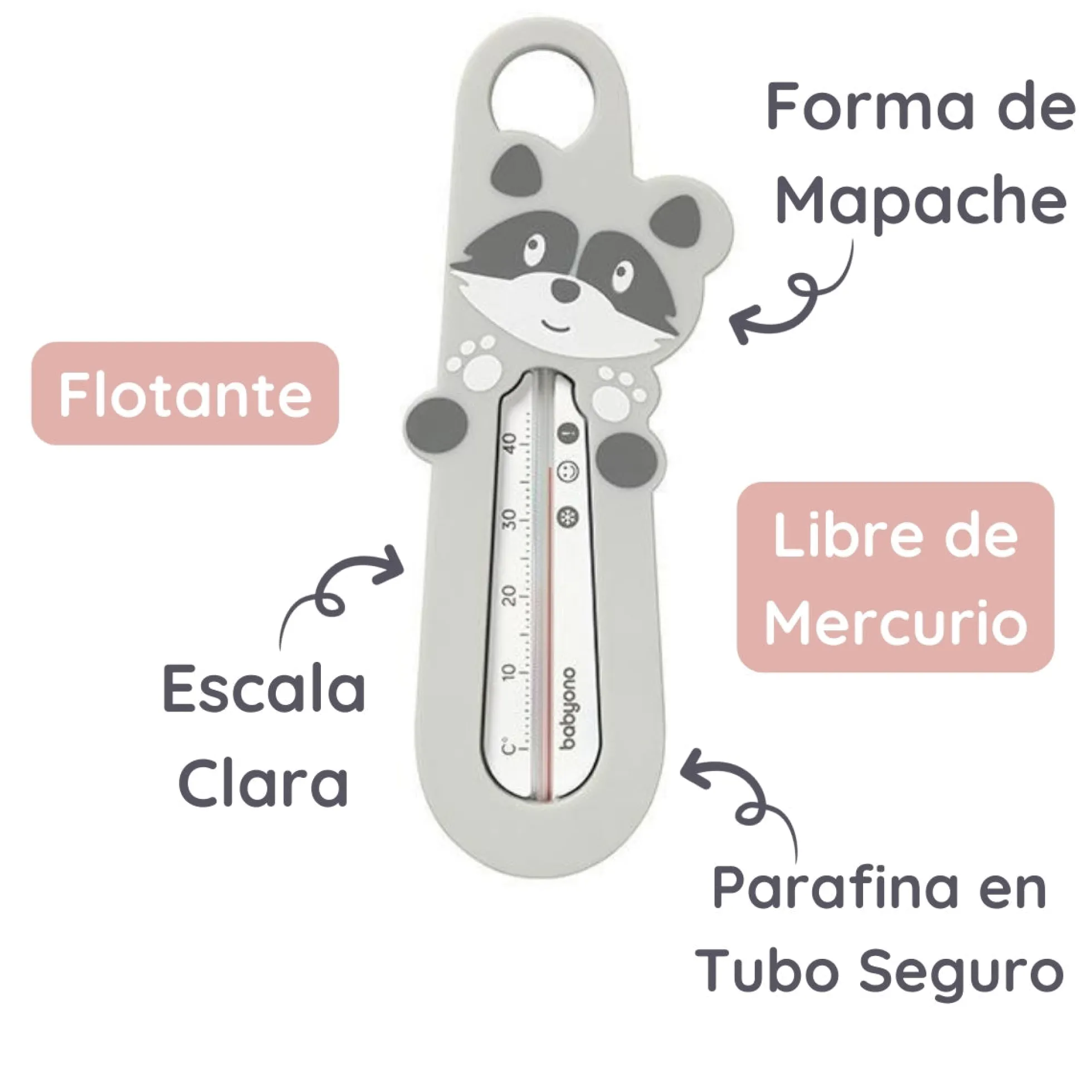 Termometro Del Agua Para Bebés Animalitos Raccon