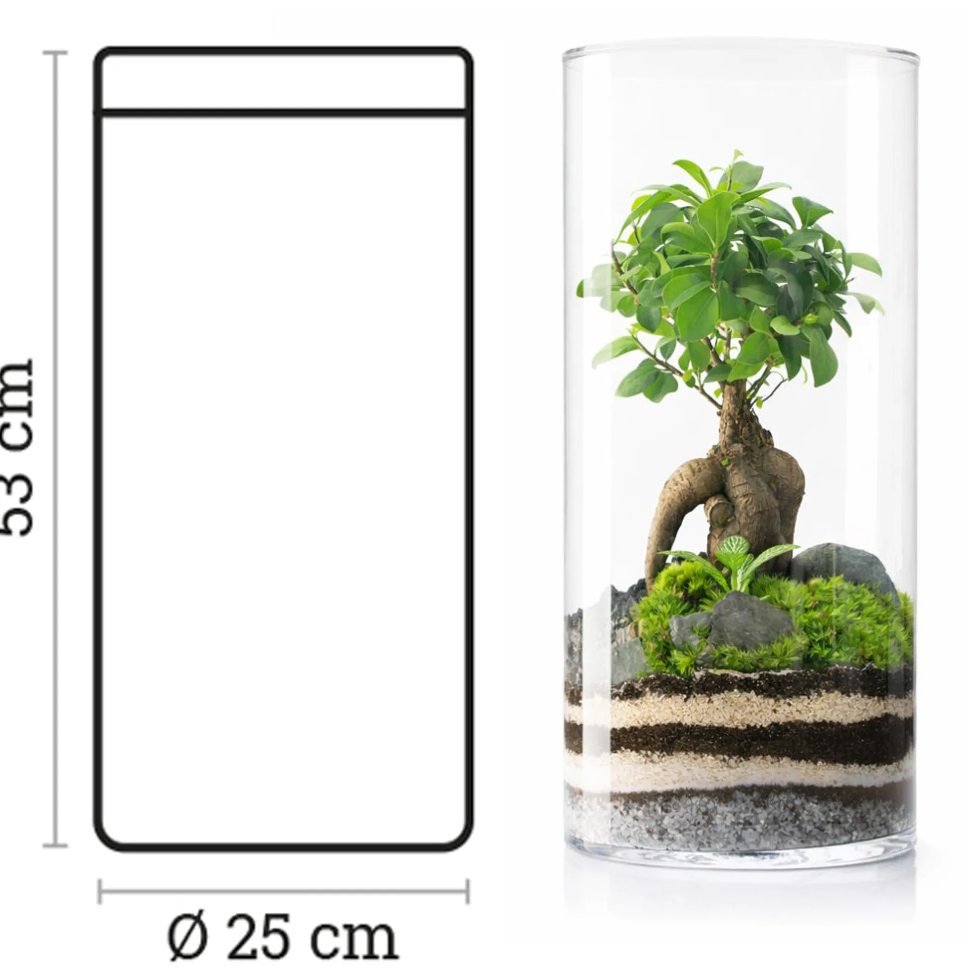 Terrario Amazonia Tower 25x52 Cm
