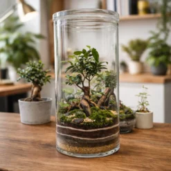 Terrario Amazonia Tower 25x52 Cm
