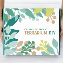 Terrarium Live Diy - Incluye Plantas Y Musgo