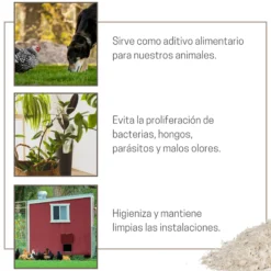 Tierra De Diatomeas Para Ayudar A Mantener El Gallinero Libre De Parásitos - Producto Natural - 750g