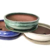 Tiesto Bonsai Oval 26cm Con Plato