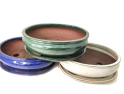 Tiesto Bonsai Oval 26cm Con Plato