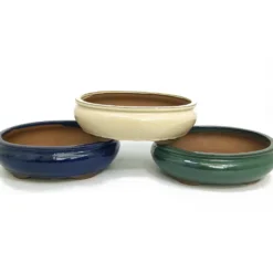 Tiesto Bonsai Oval 26cm Con Plato