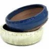 Tiesto Bonsai Redondo Crema 20cm