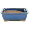 Tiesto bonsáis rectangular azul basic Class 20 cm