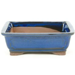 Tiesto bonsáis rectangular azul basic Class 20 cm