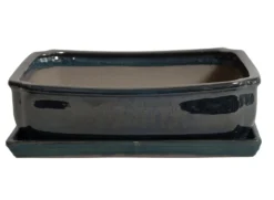 Tiesto Laxe Con Plato Verde 31x25x9cm