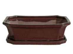 Tiesto Rectangular Rojo 20x15x6cm