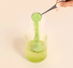 Té Matcha Colágeno Marino Original Matcha & CO 290g