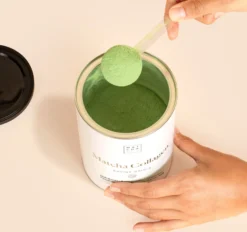Té Matcha Colágeno Vainilla Matcha & CO312g