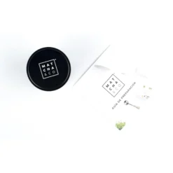 Té Matcha Premium Ceremonial 100% ecológico Matcha & CO 30 g