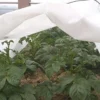 Túnel de cultivo antiheladas 3 m Biotop