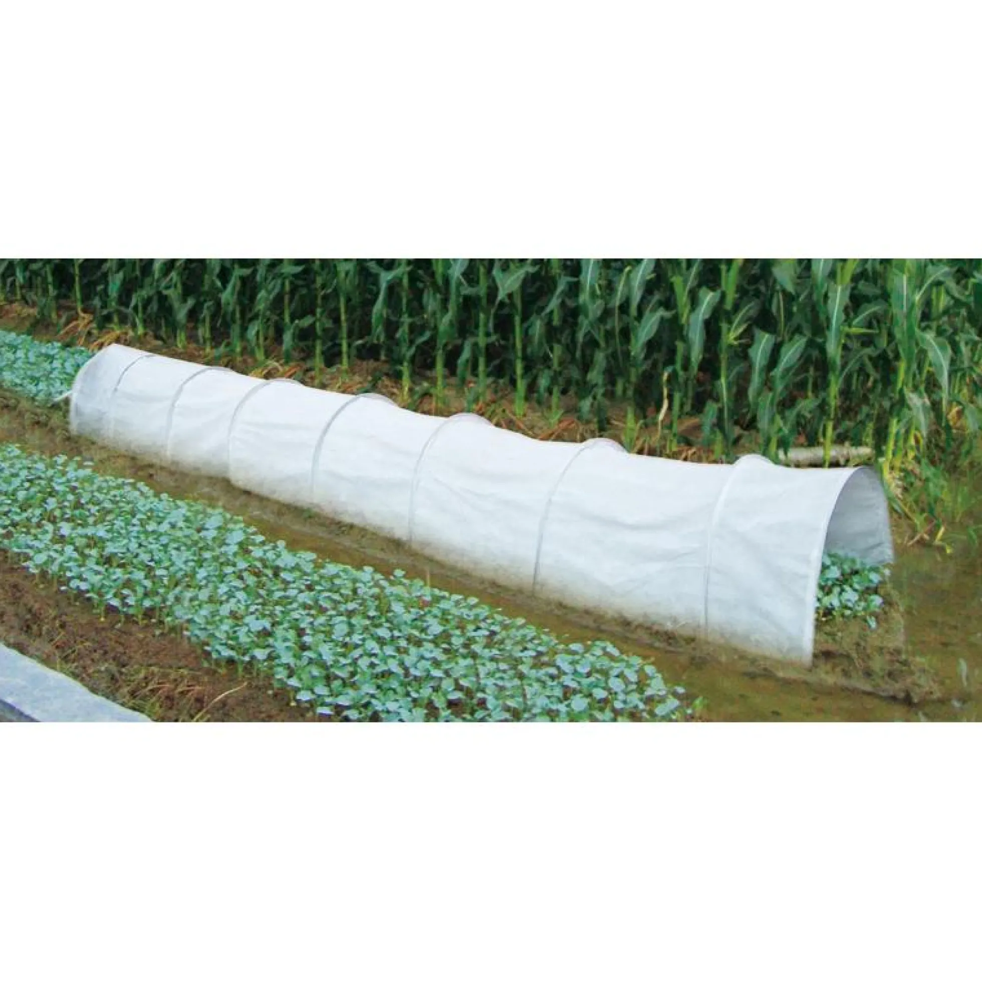 Túnel de cultivo antiheladas 3 m Biotop