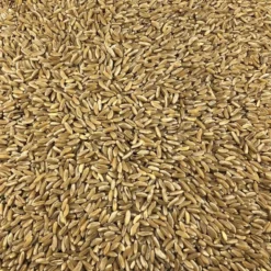 Trigo Antiguo Ecológico A Granel 10 Kg
