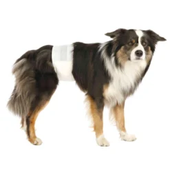 Trixie 12 Pañales para Perro Macho S-M 30-46 cm