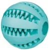 Trixie Pelota mentolada Denta Fun de caucho natural ø5 cm
