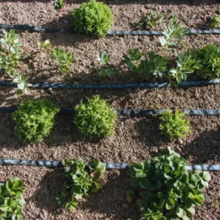 Tubería de Riego por Exudación en Rollo Agro Planeta Huerto 100 m