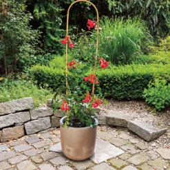 Tutor Arco Bambú 60 Cm Nortene
