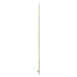 Tutor Bambú Ø12-14mmx1,5 M Nortene