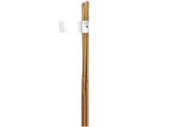 Tutor De Bambu 6-8 Mm 0,6 M Nortene