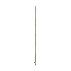Tutor De Bambu 10-12 Mm 1,5 M Nortene