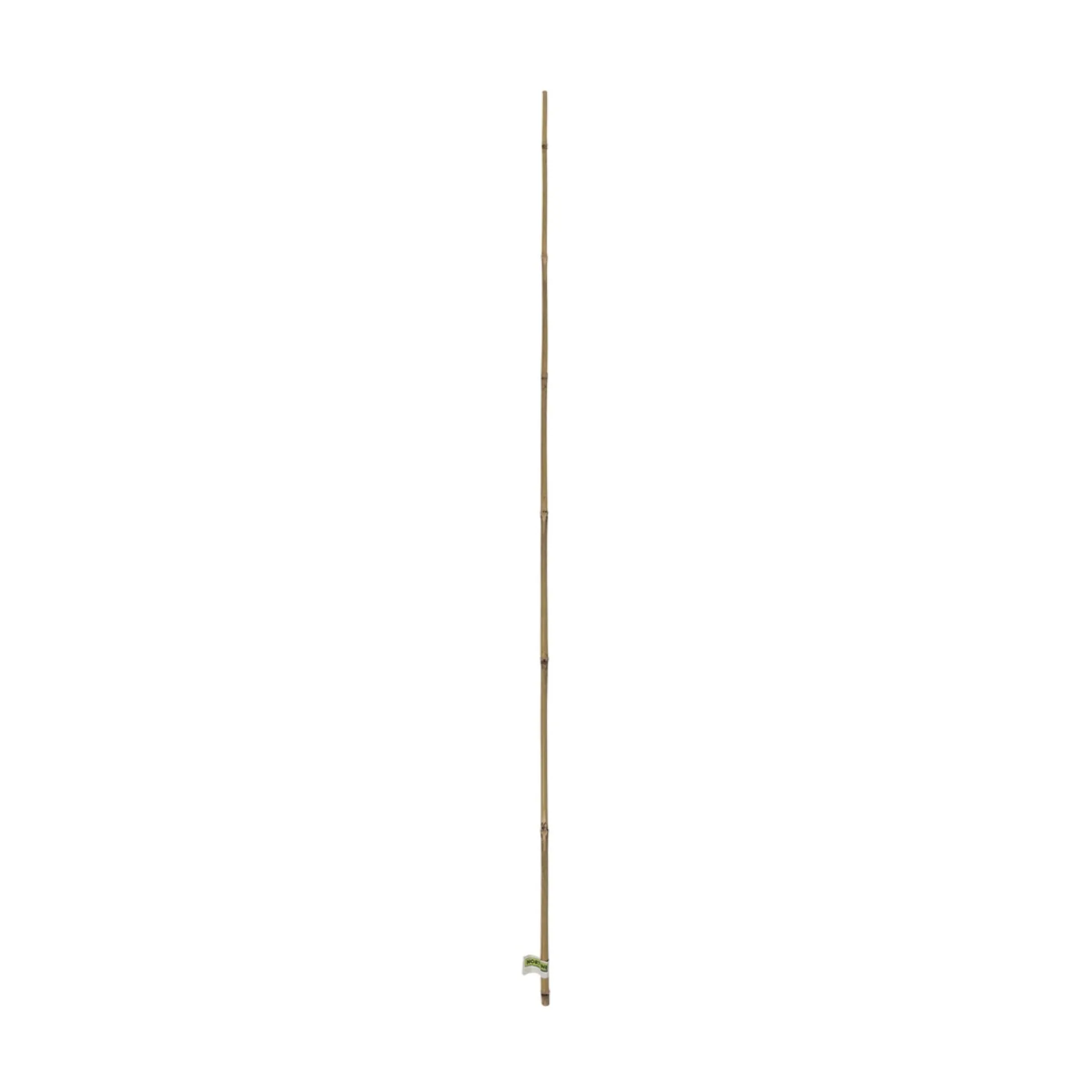 Tutor De Bambu 10-12 Mm 1,5 M Nortene