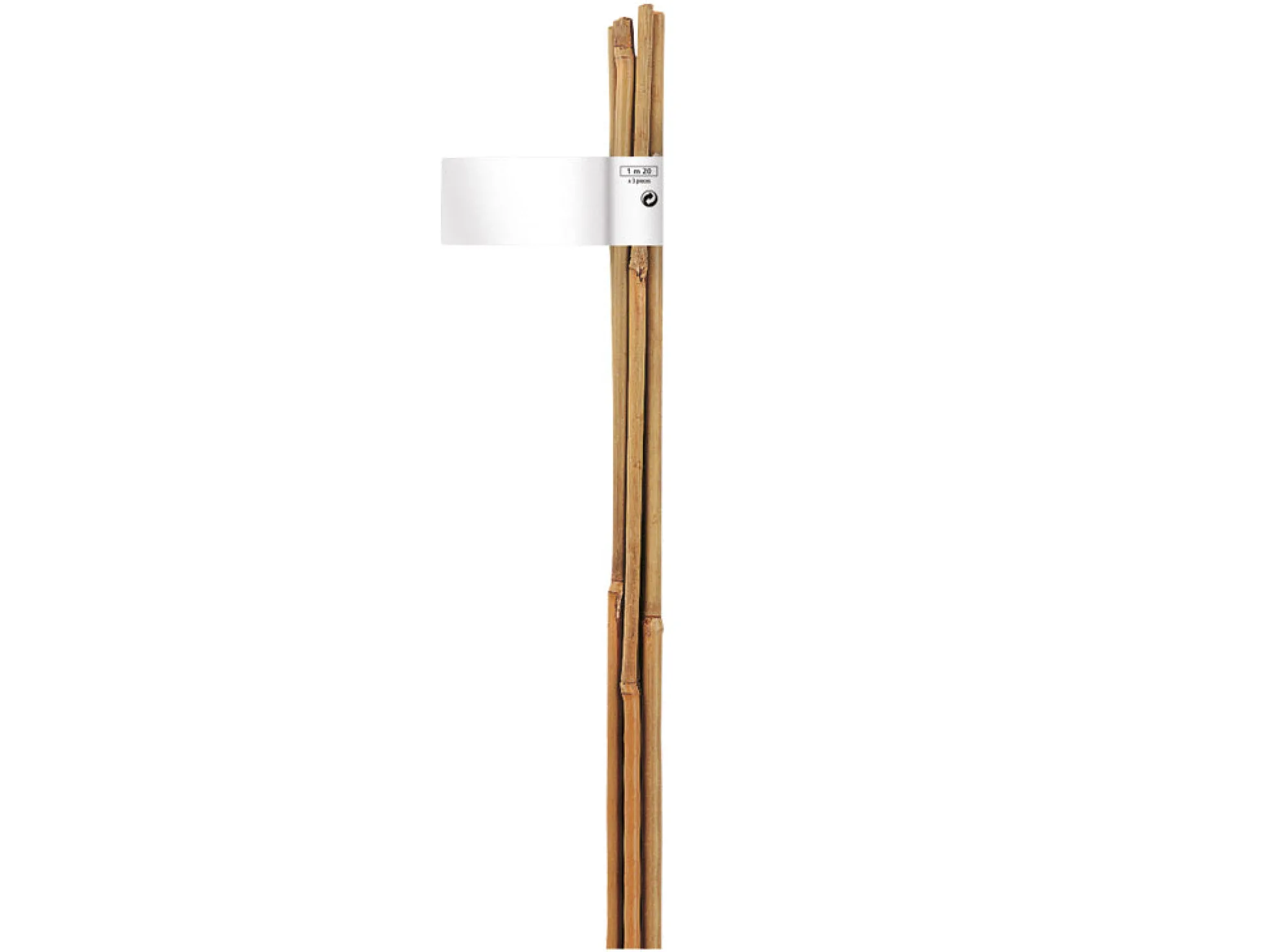 Tutor De Bambu 10-12 Mm 1,5 M Nortene