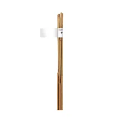Tutor De Bambu 8-10 Mm 0,9 M Nortene