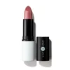 Vegan lipstick in the altogether Lily Lolo 4g