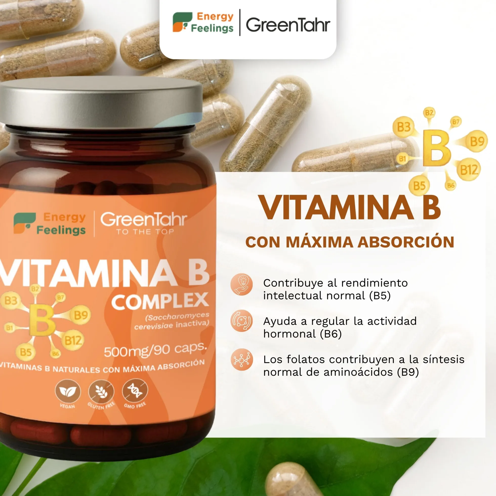 VITAB Biodisponible Energy Feelings cápsulas (90ud/500mg)