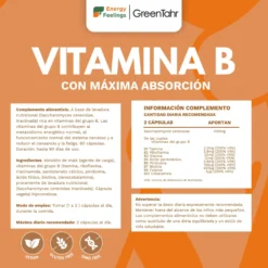 VITAB Biodisponible Energy Feelings cápsulas (90ud/500mg)