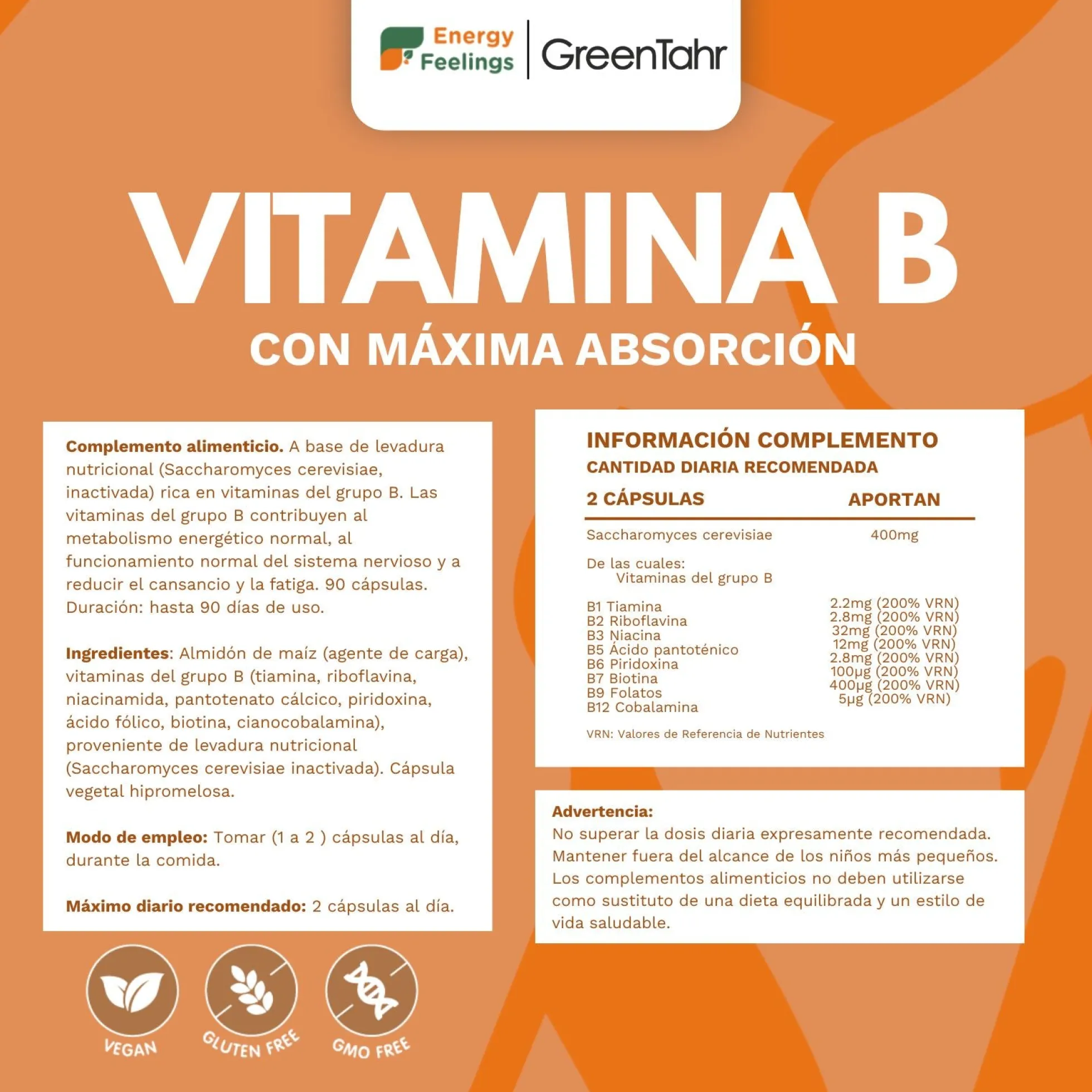 VITAB Biodisponible Energy Feelings cápsulas (90ud/500mg)