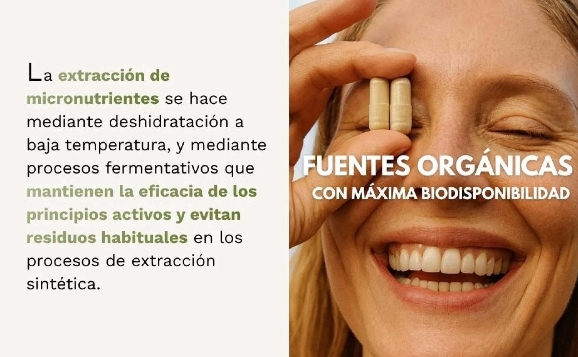 VITAB Biodisponible Energy Feelings cápsulas (90ud/500mg)