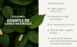 VITAB Biodisponible Energy Feelings cápsulas (90ud/500mg)