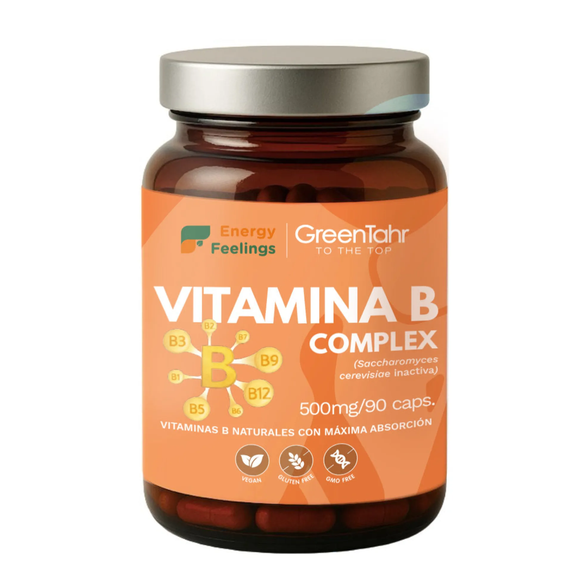 VITAB Biodisponible Energy Feelings cápsulas (90ud/500mg)