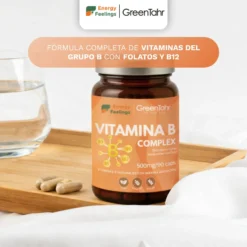 VITAB Biodisponible Energy Feelings cápsulas (90ud/500mg)