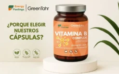 VITAB Biodisponible Energy Feelings cápsulas (90ud/500mg)