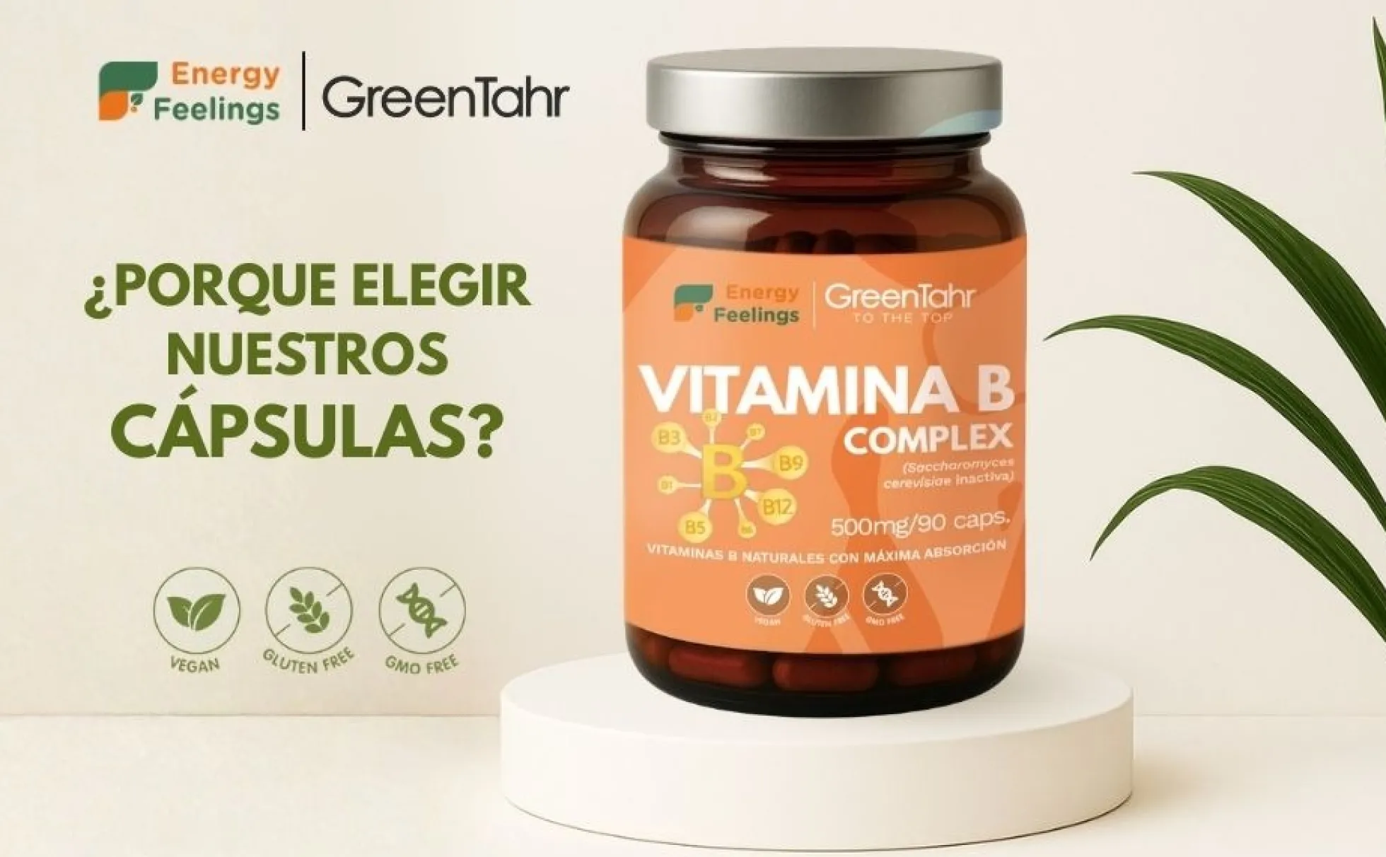 VITAB Biodisponible Energy Feelings cápsulas (90ud/500mg)