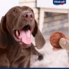 Vitakraft Beef Burguer 3 uds